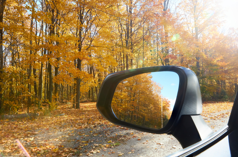Fall Colours: Backroad Drives