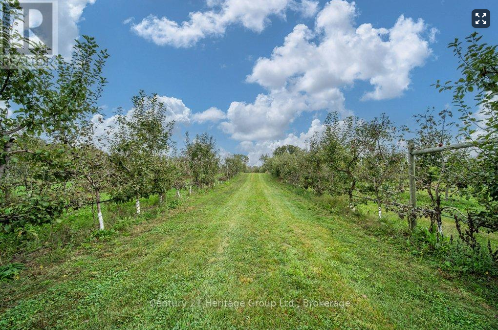 Fruit_Orchard_3357_Hwy_15.jpeg