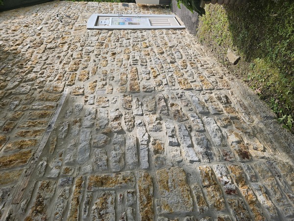 Newboro Branch Rideau Lakes Public Library RLPL Doors Open photo by Rosanne Lake