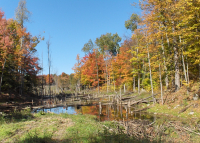 Lower Beverley Lake Park