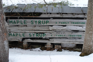 World Champion Maple Syrup